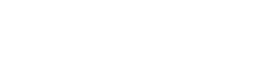 Enel X